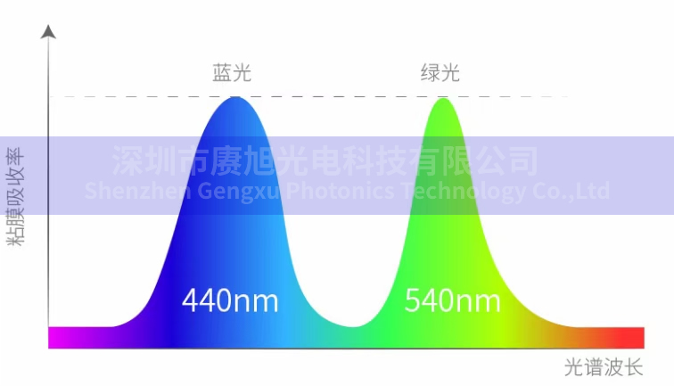滤光片光谱